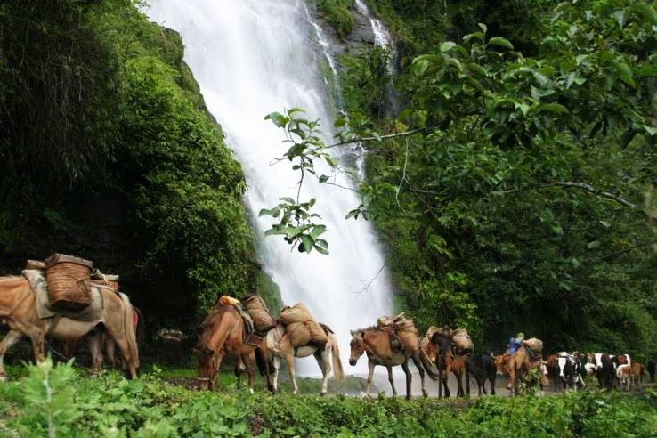 5. Bhutan With Phuntshling Package